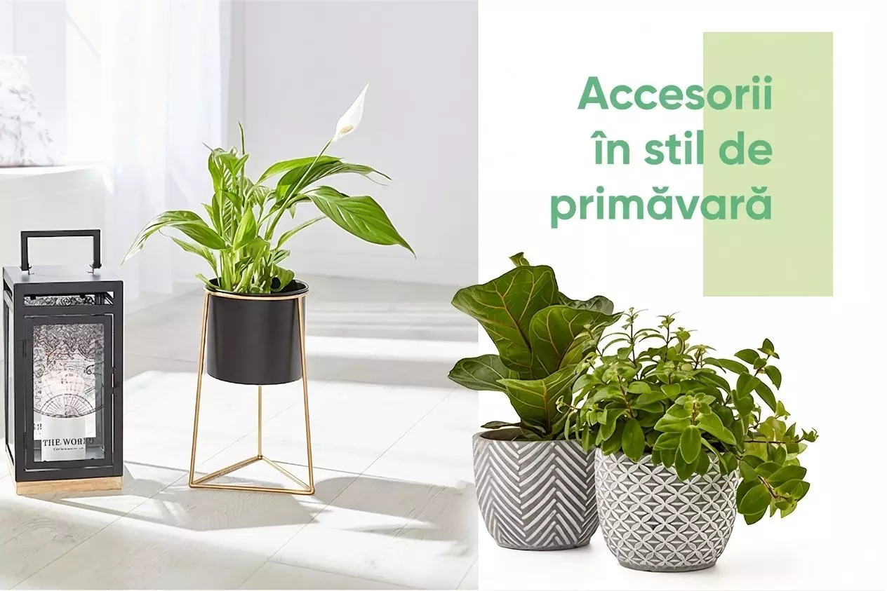 Plante decorative în ghivece stilizate, afișate pe o masă albă lângă o felinar negru.