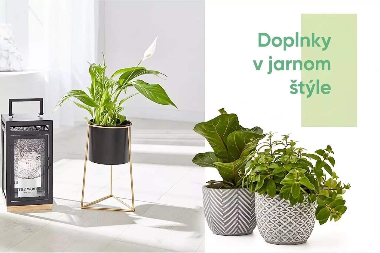 Štyri izbové rastliny v dekoratívnych kvetináčoch s textom "Doplnky v jarnom štýle".