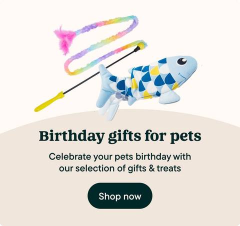 Birthday gifts for cats
