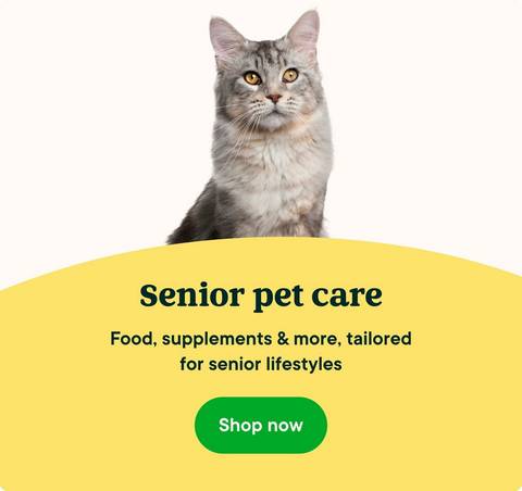 Senior pet care