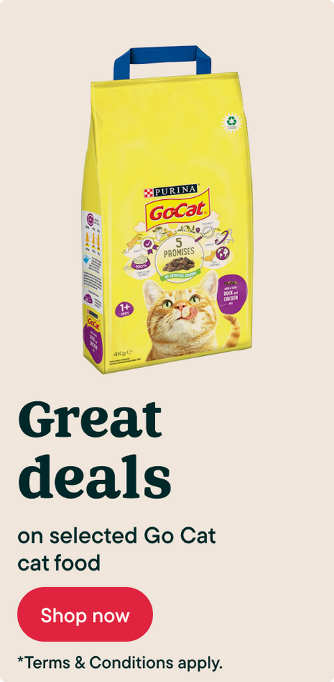 Go Cat - Great Deals