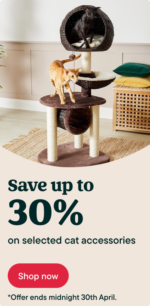 Save up to 30% on cat accessories