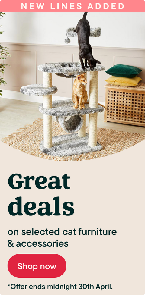 Save up to 30% on cat furniture & accessories