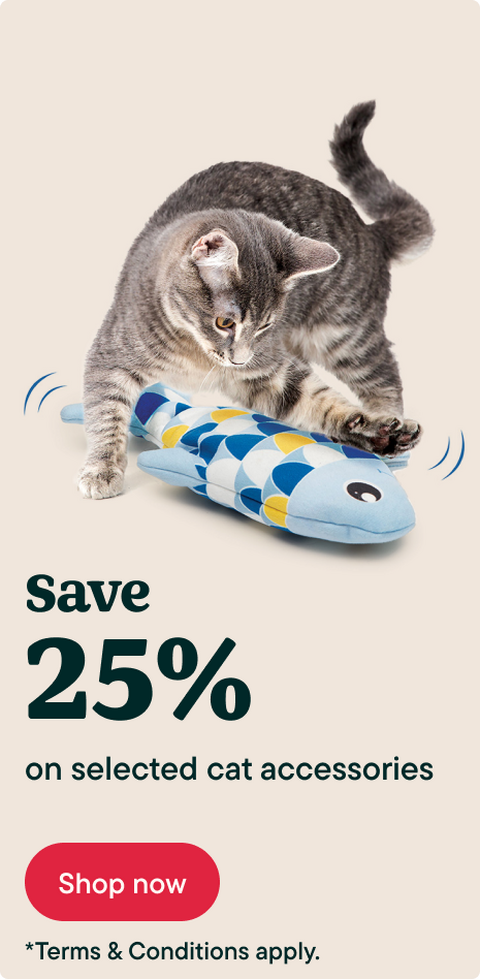 Save 25% on selected cat accessories