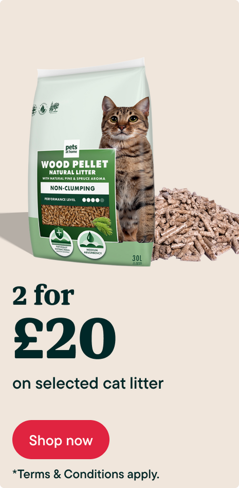2 for £20 on selected cat litter