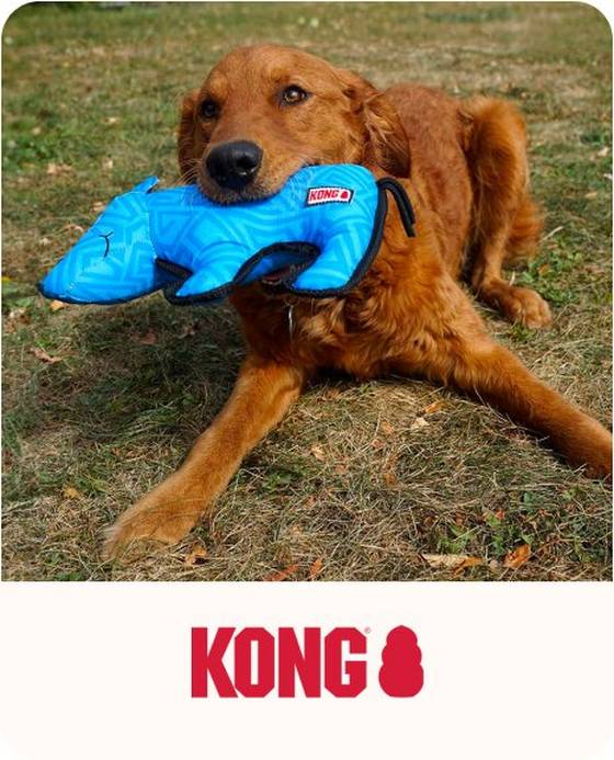 FAB DOG Floppy Squeaky Plush Dog Toy, Beige Large 