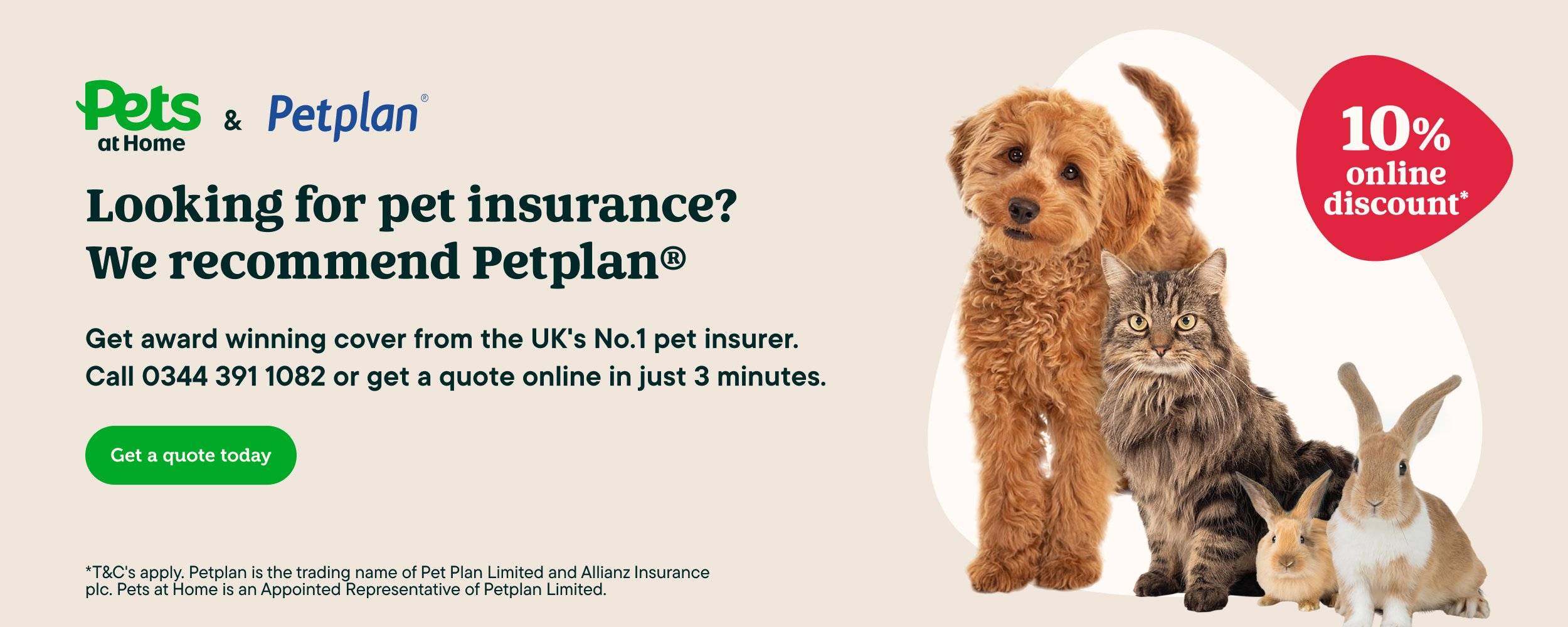 Pet plan pet insurance