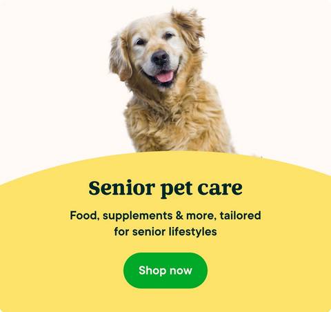 Senior pet care