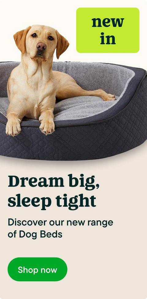 New in dog beds
