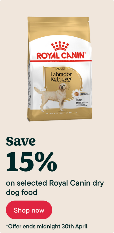 Save 15% on Royal Canin dog food