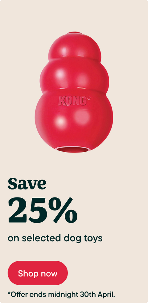Save 25% on Kong dog toys