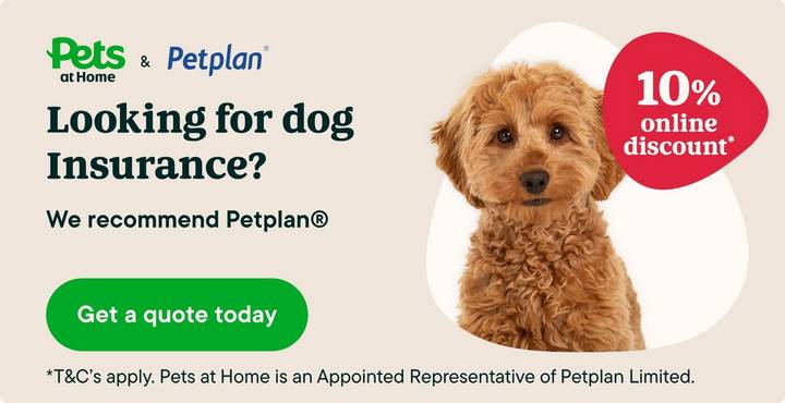 Your pet deserves Petplan