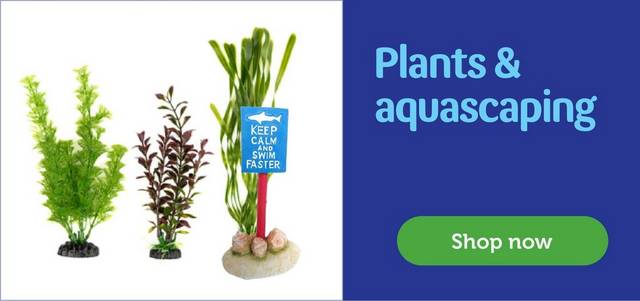 Plants & Aquascaping - shop now
