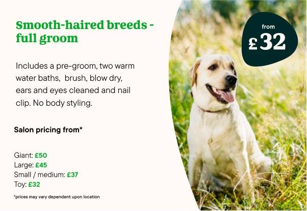 2024 Dog Grooming Prices List
