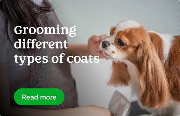 Grooming different types of coats