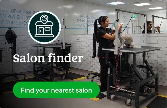 Salon finder - nearest salon