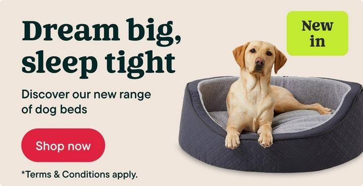 NOBLE LAUNCH - NEW IN DOG
