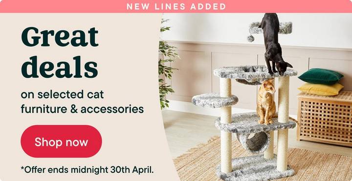 Great deals on selected cat accessories