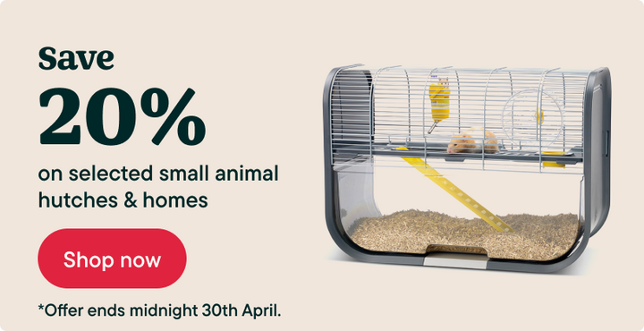 Small animal homes