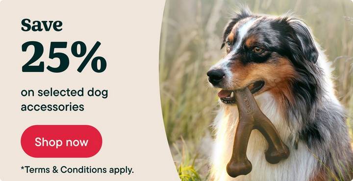 SELECTED DOG ACCESSORIES - SAVE 25%