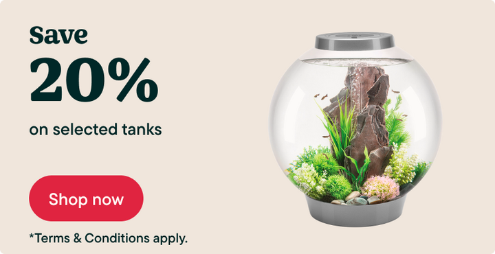 Save 20% - Tanks