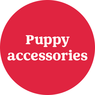 Shop all - puppy accessories