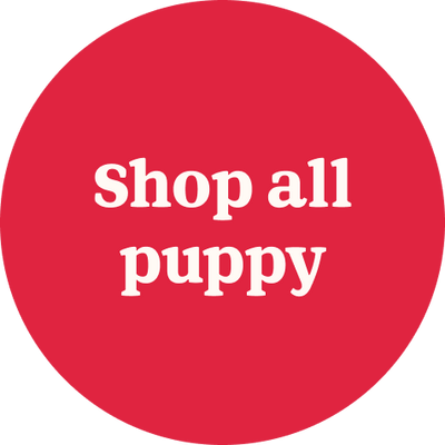 Shop all - puppy