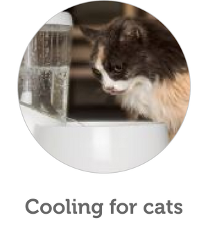 Cat cooling
