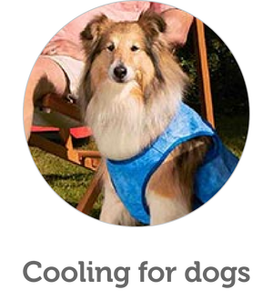 Dog cooling
