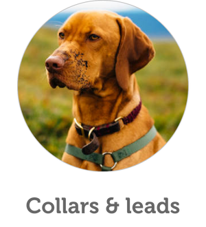 Dog collars and leads
