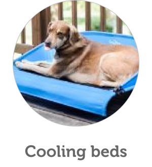 Summer - Dog beds