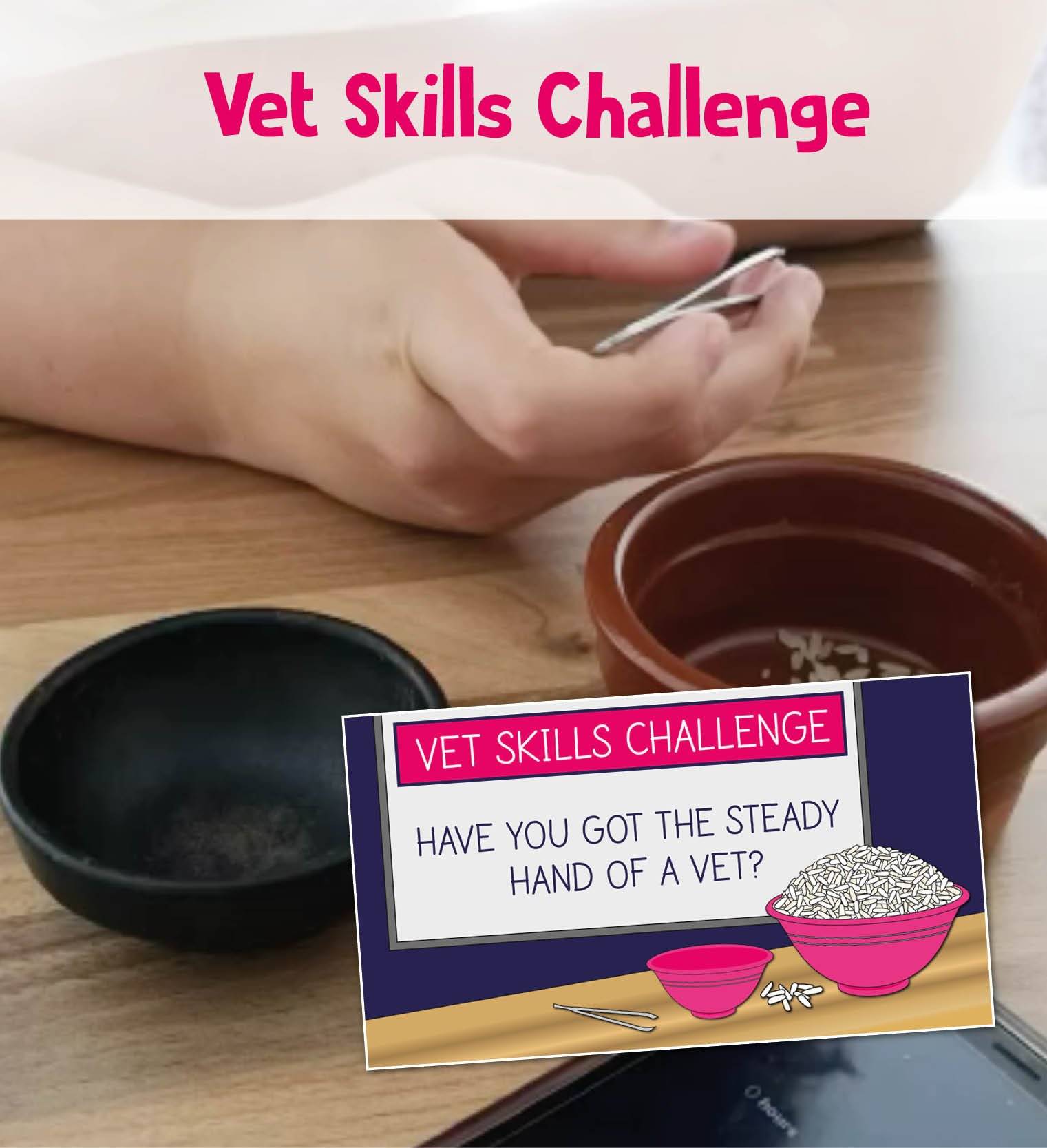 vet competition