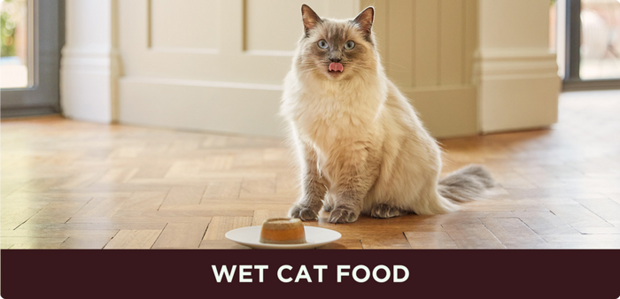 Wet cat food
