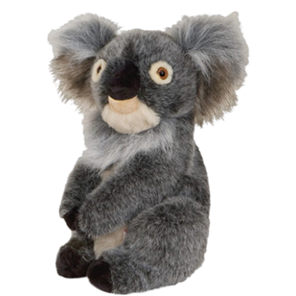 Daphne's Koala Headcover
