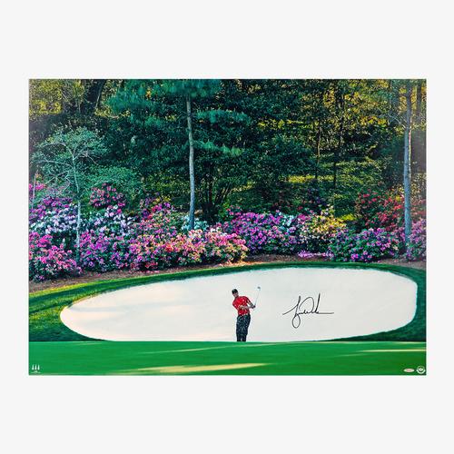 Tiger Woods Autographed "AZALEA" 40X30