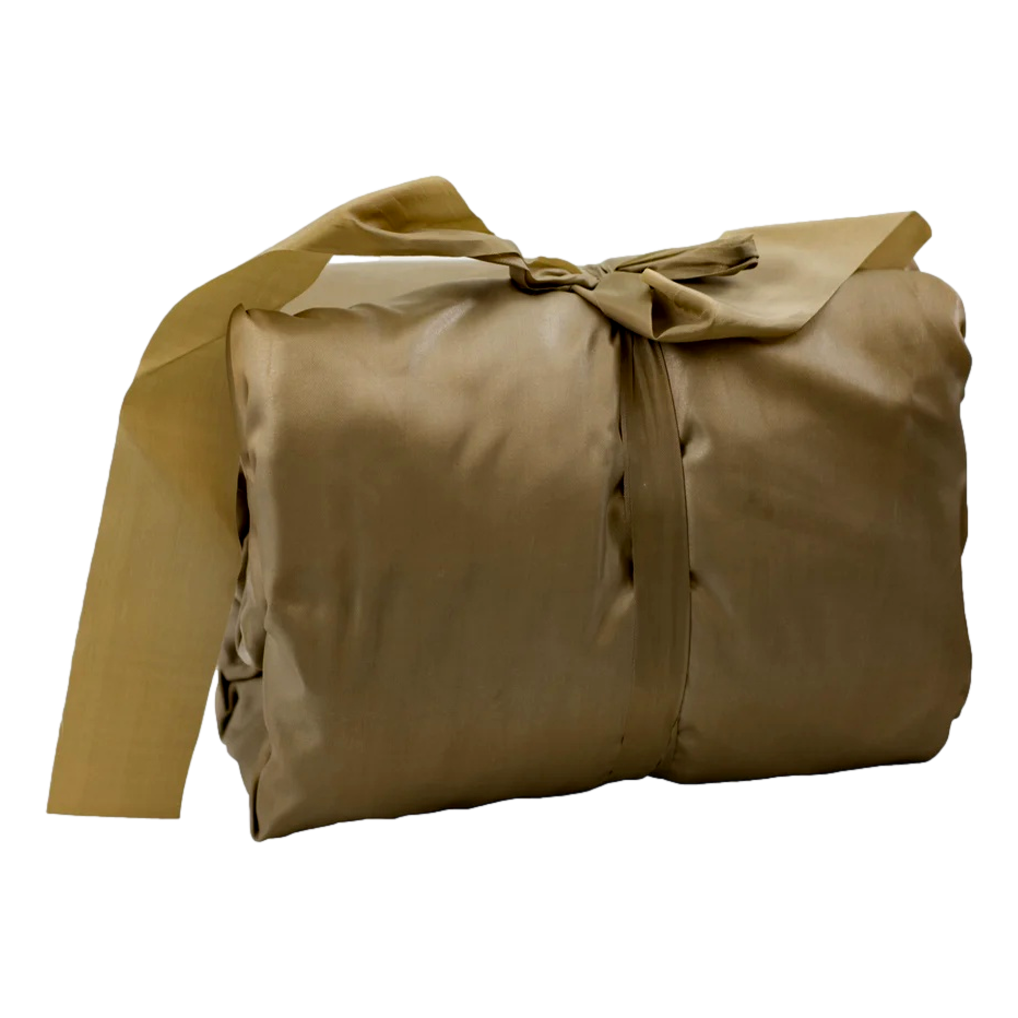 Universal Golf Cart Storage Cover