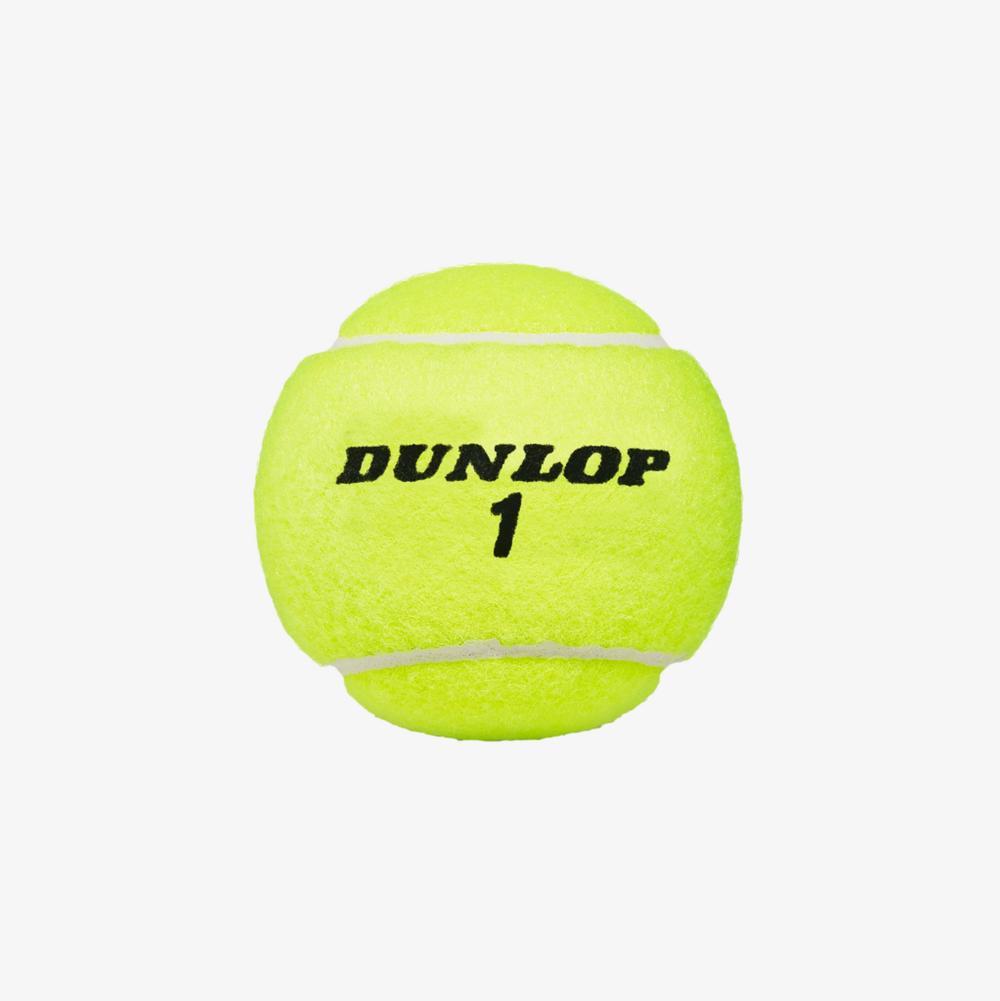 ATP Championship Extra Duty Single Can Tennis Balls