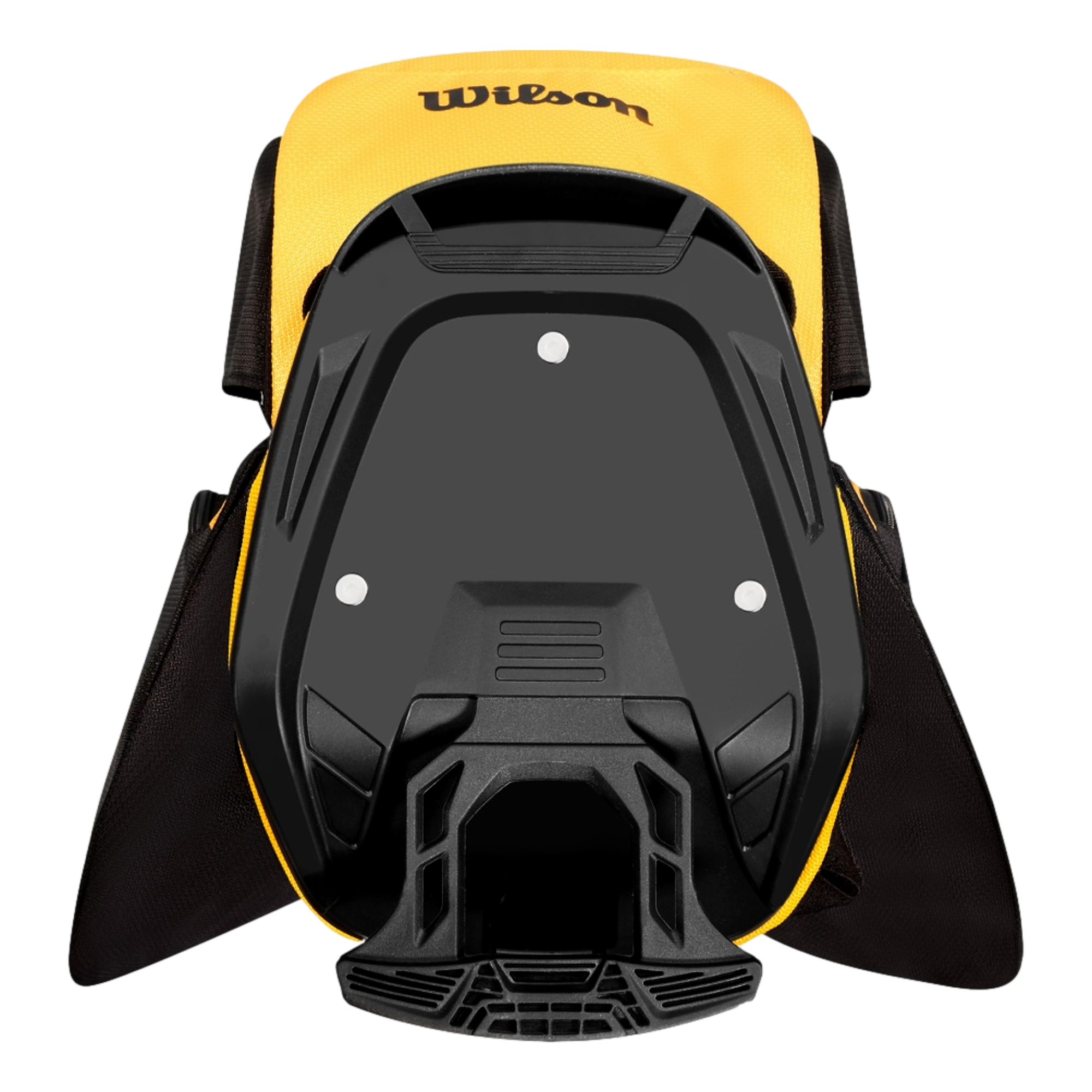 Pittsburgh Steelers 2024 Stand Bag