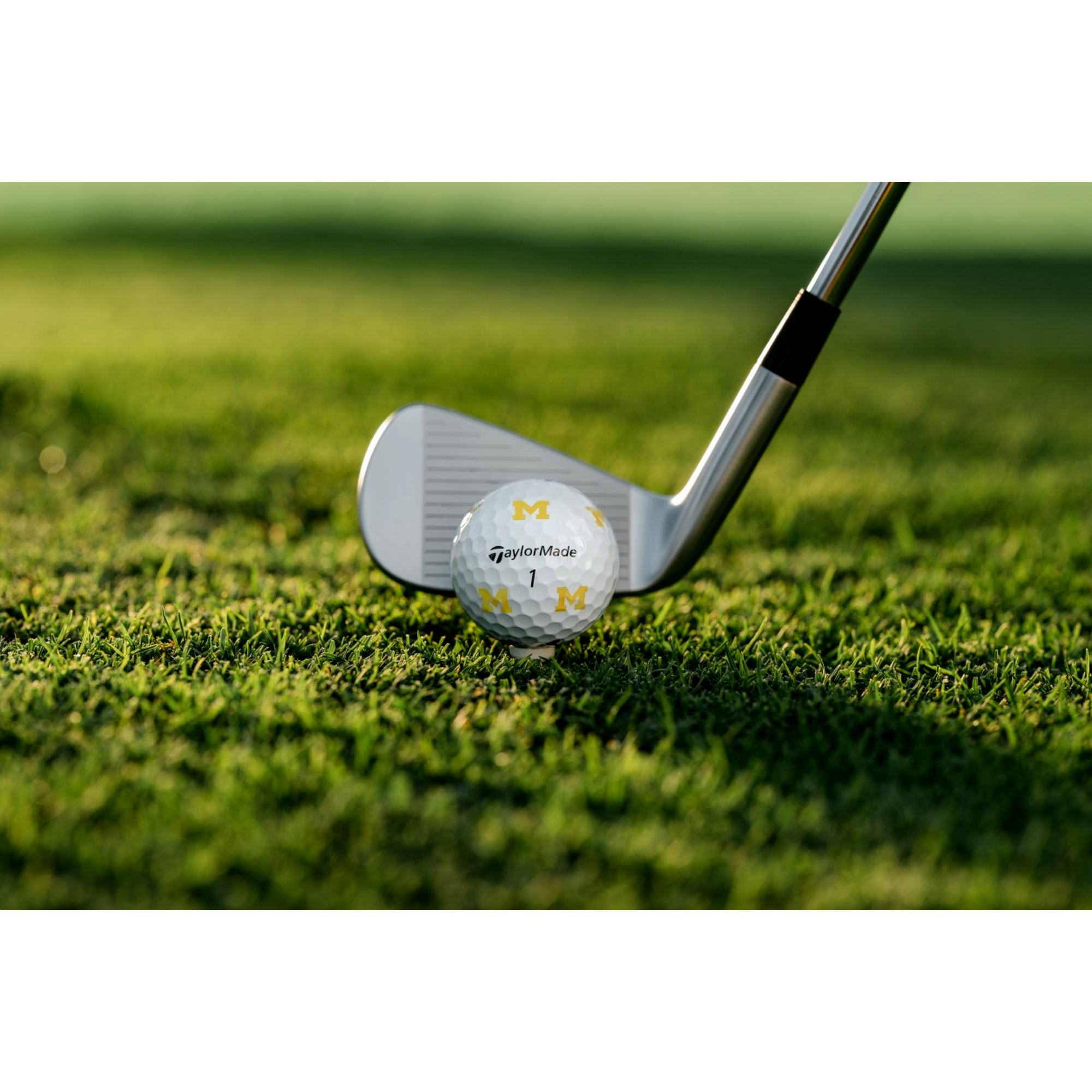TP5 Pix 3.0 - Michigan Golf Balls