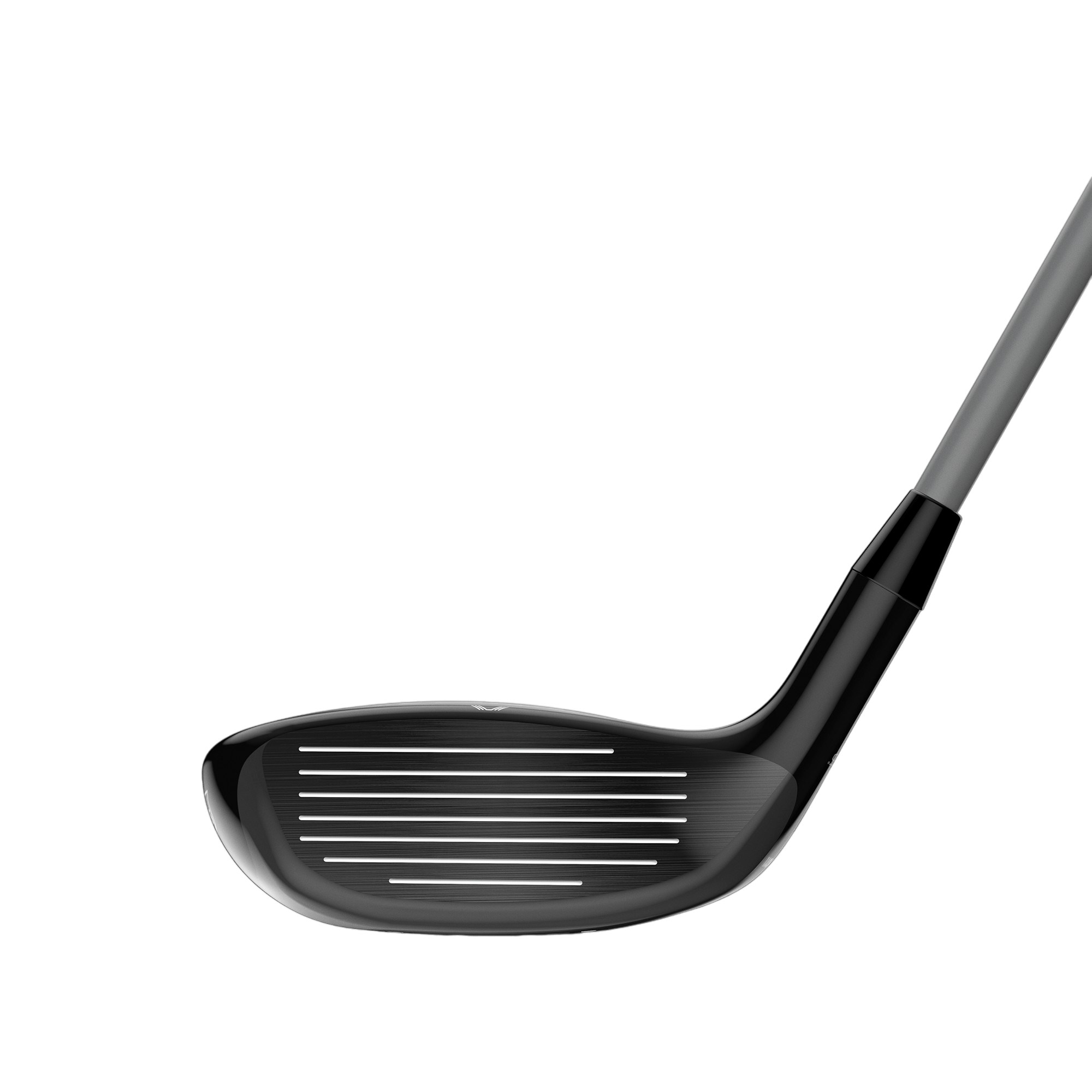 D7 Hybrid