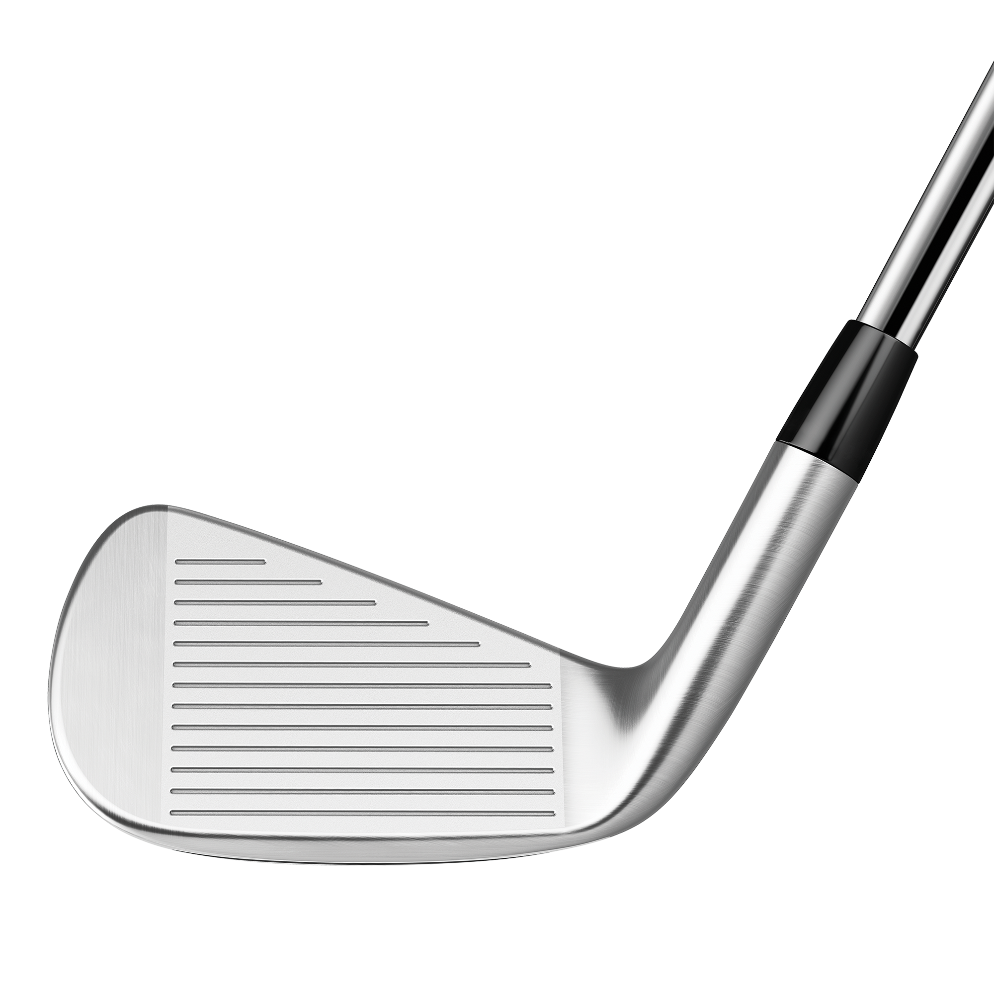 P790 Iron Set w/ Steel Shafts