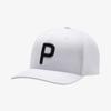 P110 Snapback Hat