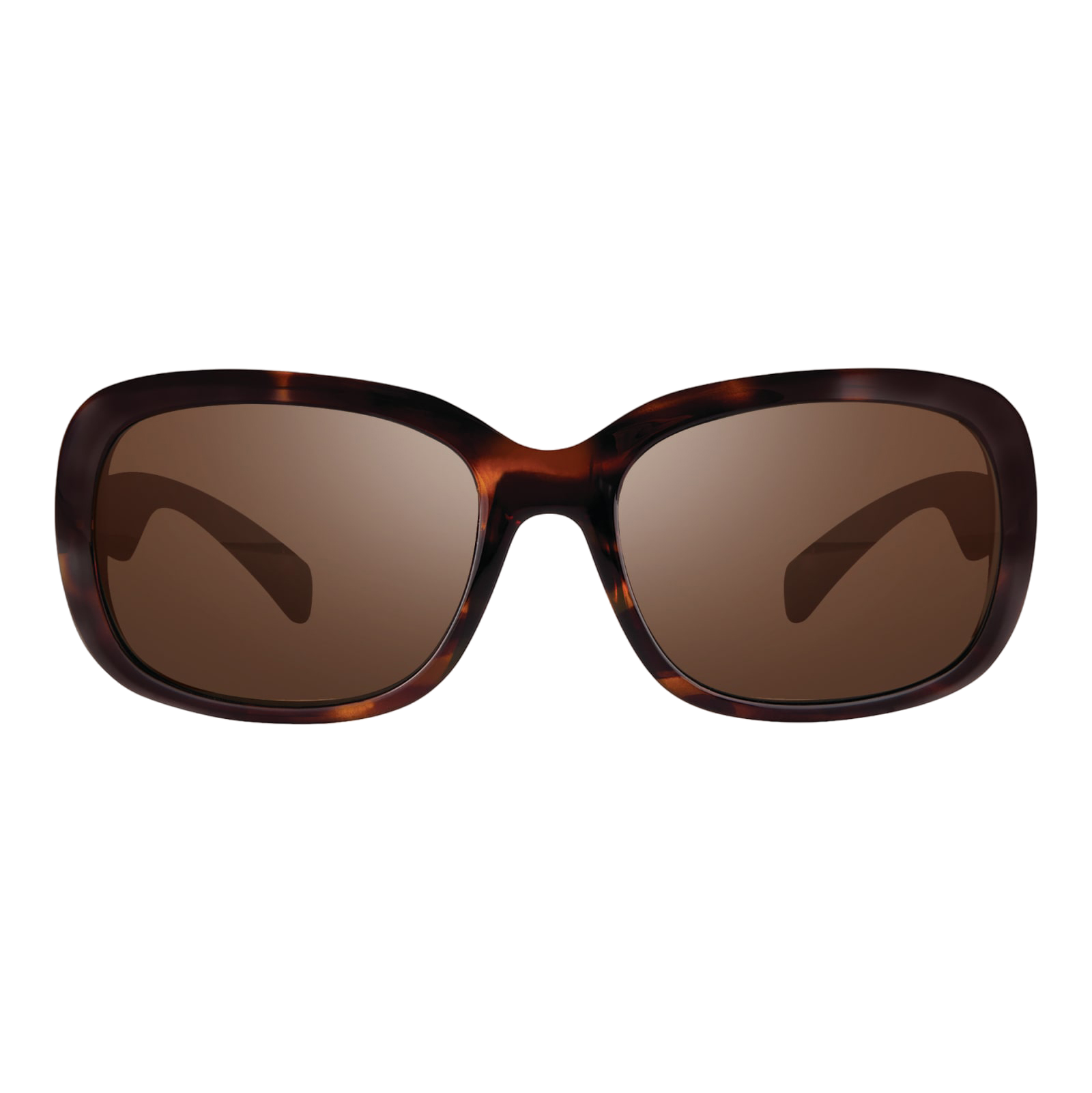 Paxton Ladies Sunglasses