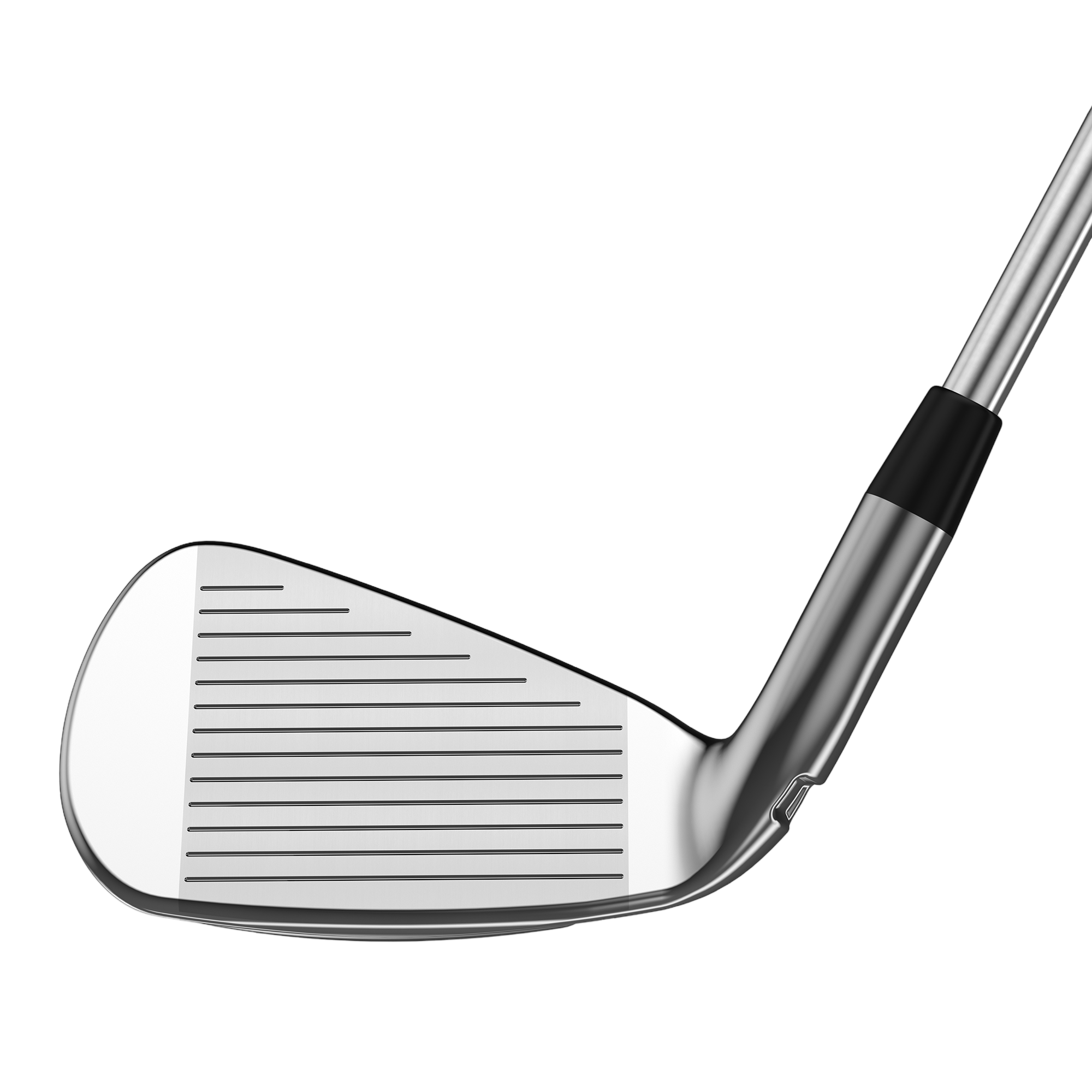 Exotics EXS 220 Iron Set w/ Steel Shafts