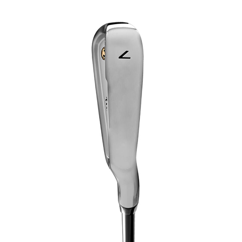 TR20 V Irons w/ Steel Shafts