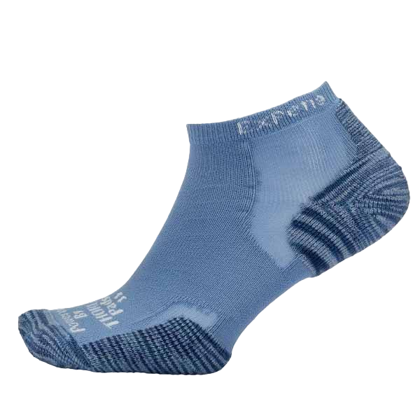 Experia Low Cut Women's Tiger Socks