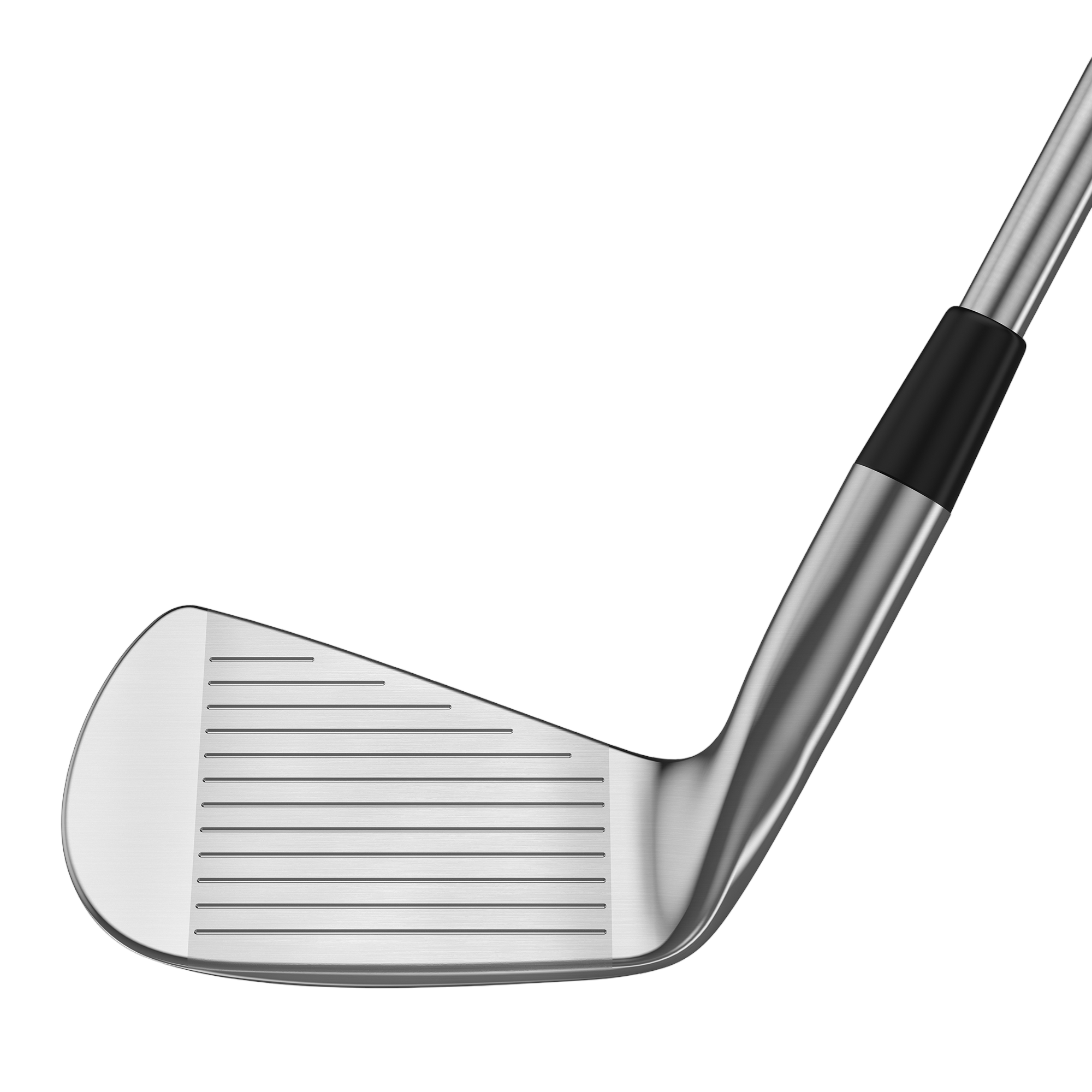 Exotics EXS Pro Forged Iron Set w/ Steel Shafts
