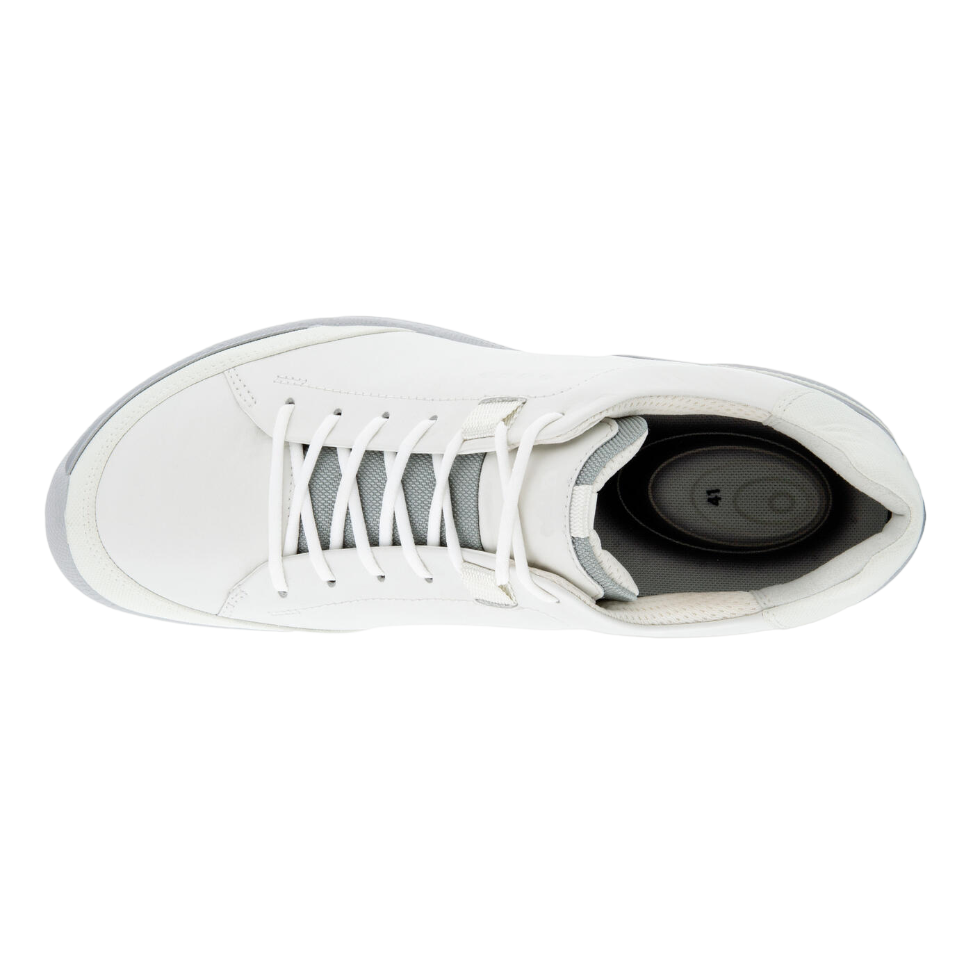 BIOM HYBRID 1 Men's Golf Shoe