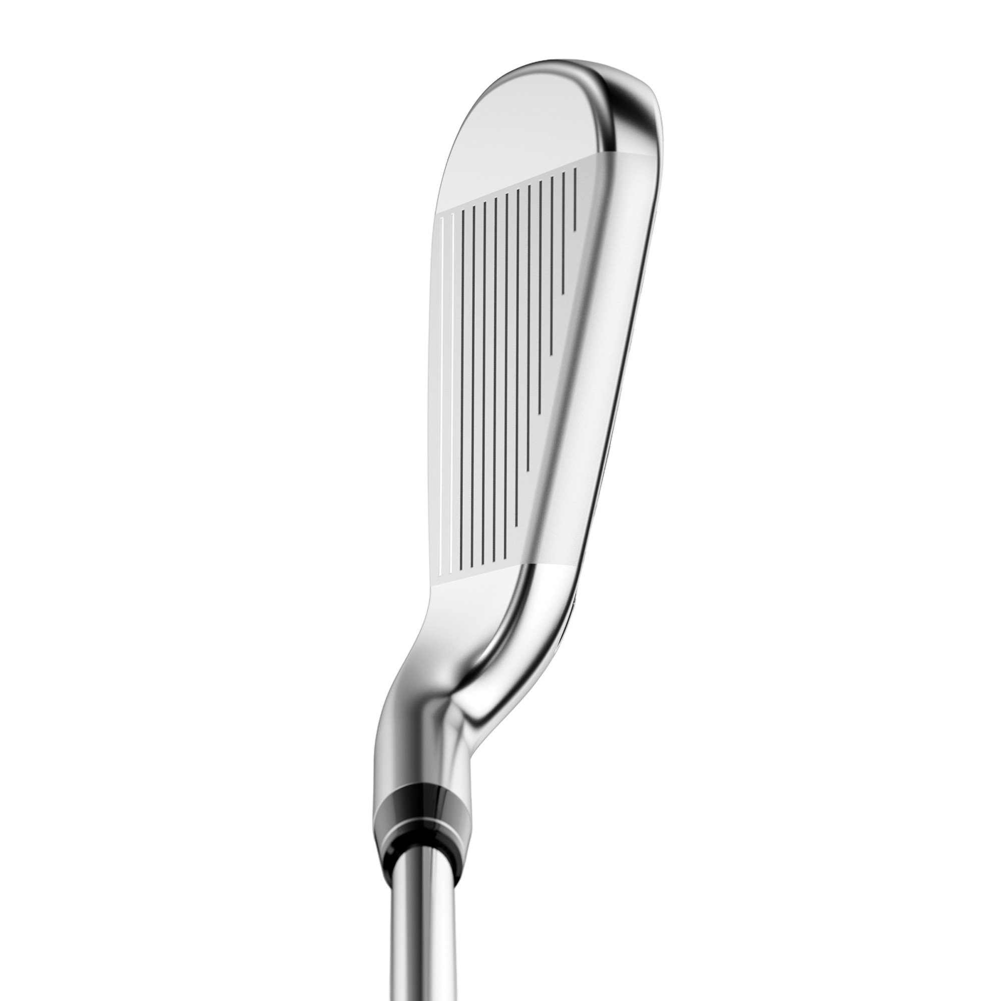 Big Bertha B21 Irons w/ Steel Shafts