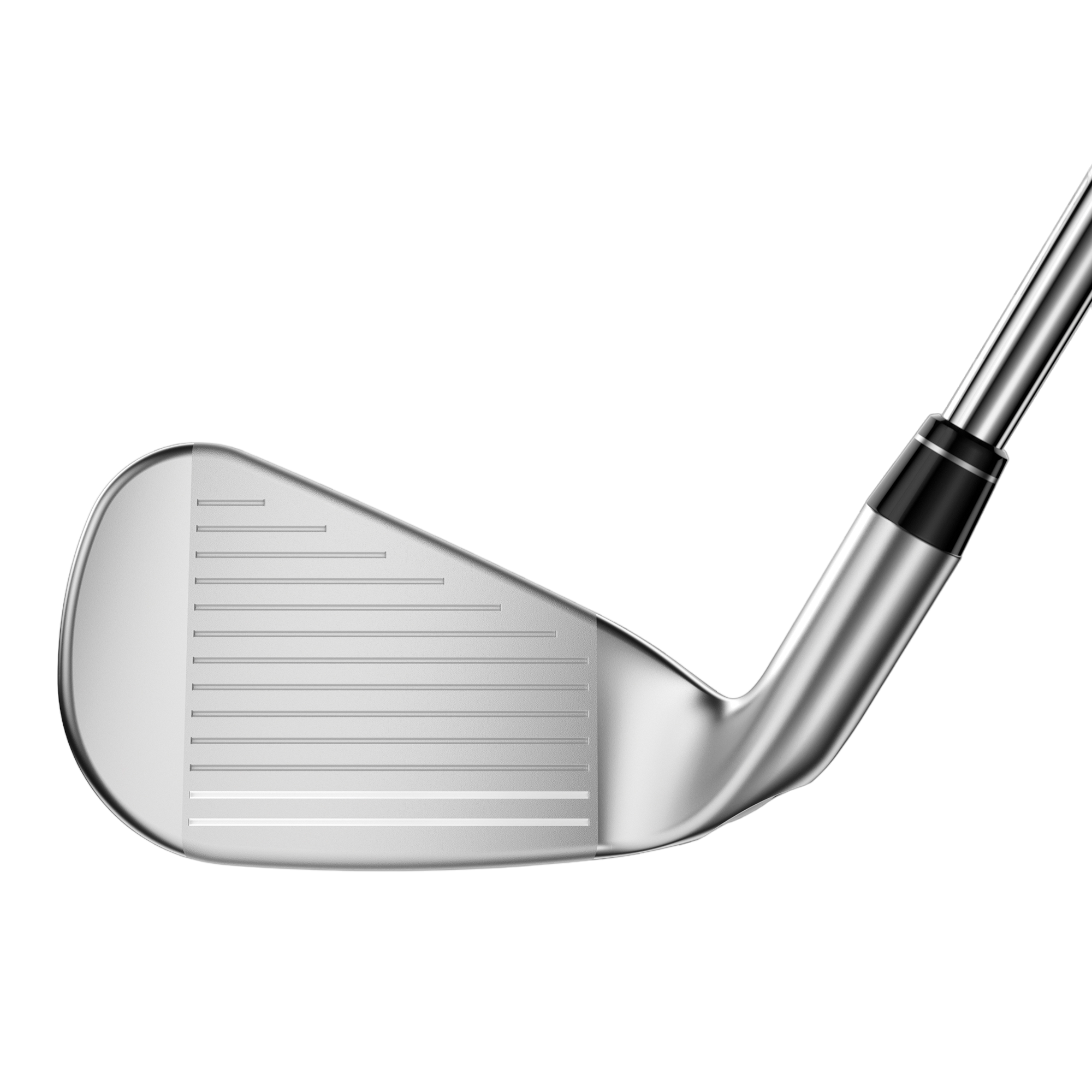 Big Bertha B21 Irons w/ Steel Shafts